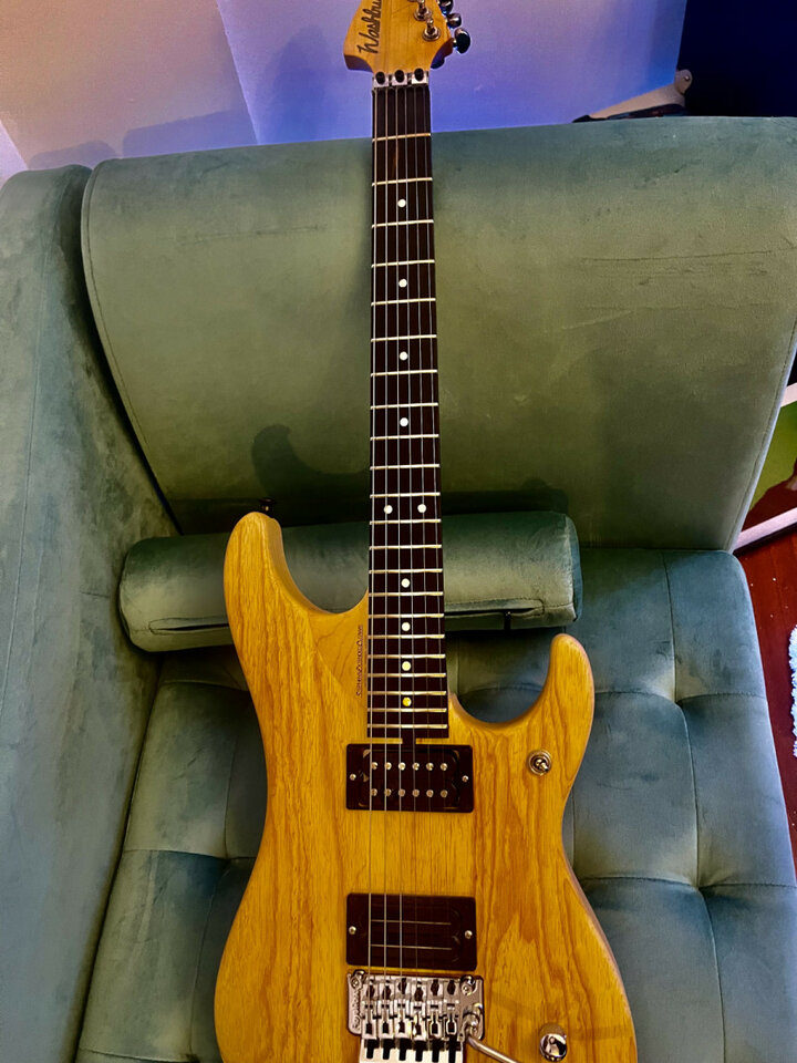 Washburn n4 swamp ash