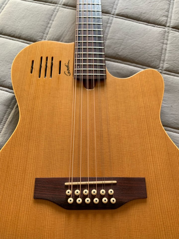 Godin A12 Electroacústica 12 cuerdas de segunda mano · Foto 2 de 10 · Lleida · 1200 €