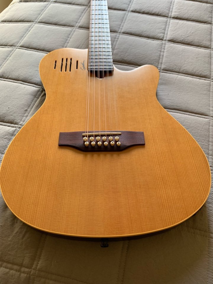 Godin A12 Electroacústica 12 cuerdas de segunda mano · Foto 3 de 10 · Lleida · 1200 €