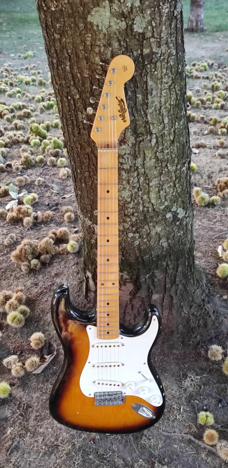 Navigator NST-300M strat de segunda mano · Foto 1 de 10 · A Coruña · 2500 €