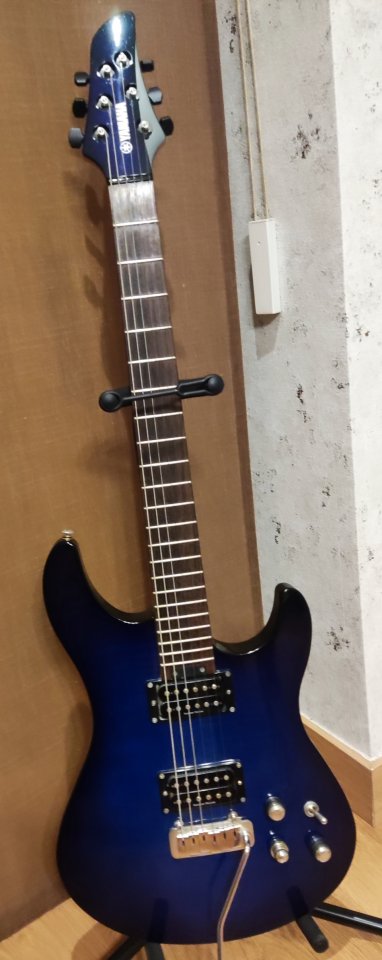 Guitarra RGX820Z