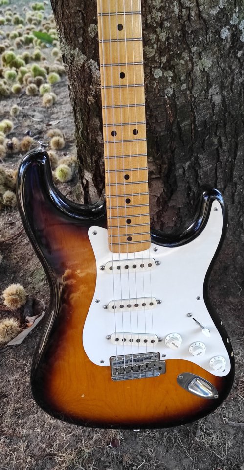 Navigator NST-300M strat de segunda mano · Foto 3 de 10 · A Coruña · 2500 €