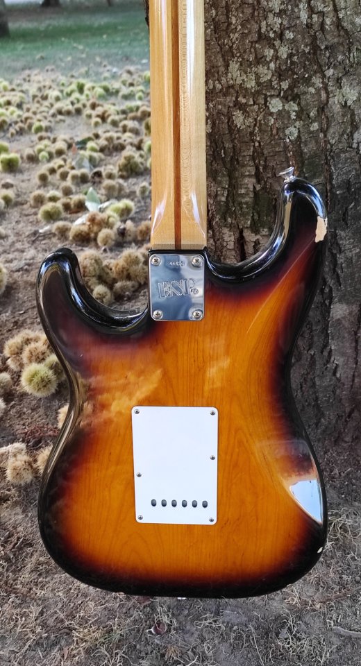 Navigator NST-300M strat de segunda mano · Foto 4 de 10 · A Coruña · 2500 €