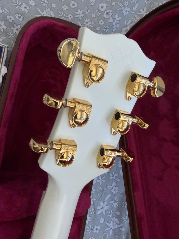 Epiphone ES-335 1959 de segunda mano · Foto 9 de 10 · Burgos · 900 €