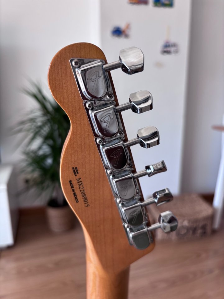 Fender Vintera 70s Telecaster Thinline Shell Pink de segunda mano · Foto 5 de 6 · Madrid · 1200 €