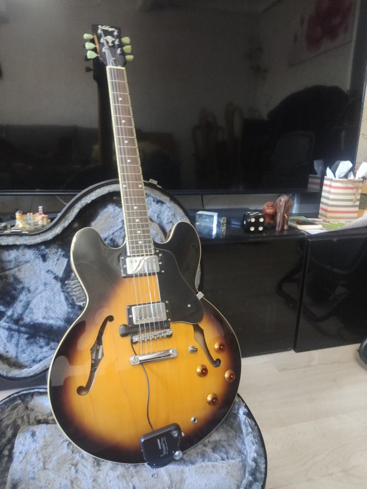 Guitarra Vintage VSA535 + Fishman Tripleplay [Urge Venta]