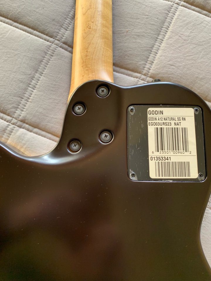Godin A12 Electroacústica 12 cuerdas de segunda mano · Foto 8 de 10 · Lleida · 1200 €