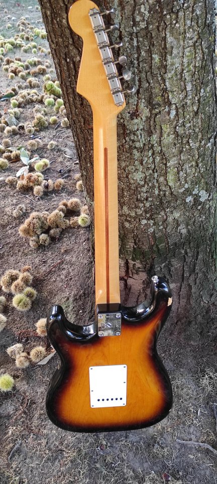 Navigator NST-300M strat de segunda mano · Foto 2 de 10 · A Coruña · 2500 €