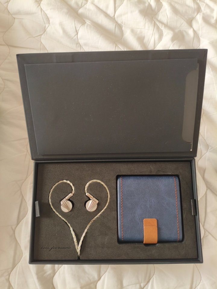 Auriculares IEM Fiio FD5 de segunda mano · Foto 1 de 5 · Albacete · 160 €