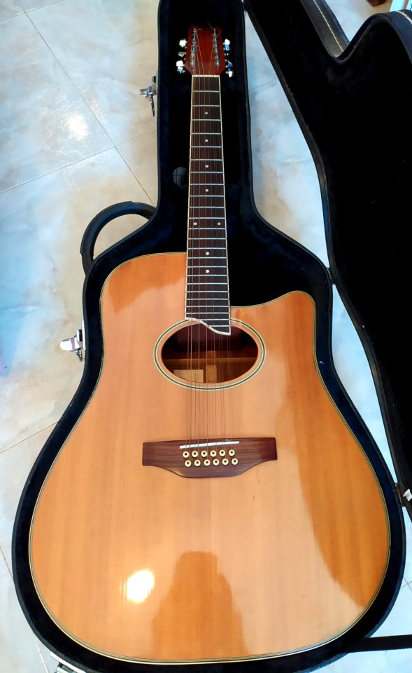 Guitarra Washburn 12 cuerdas electroacústica