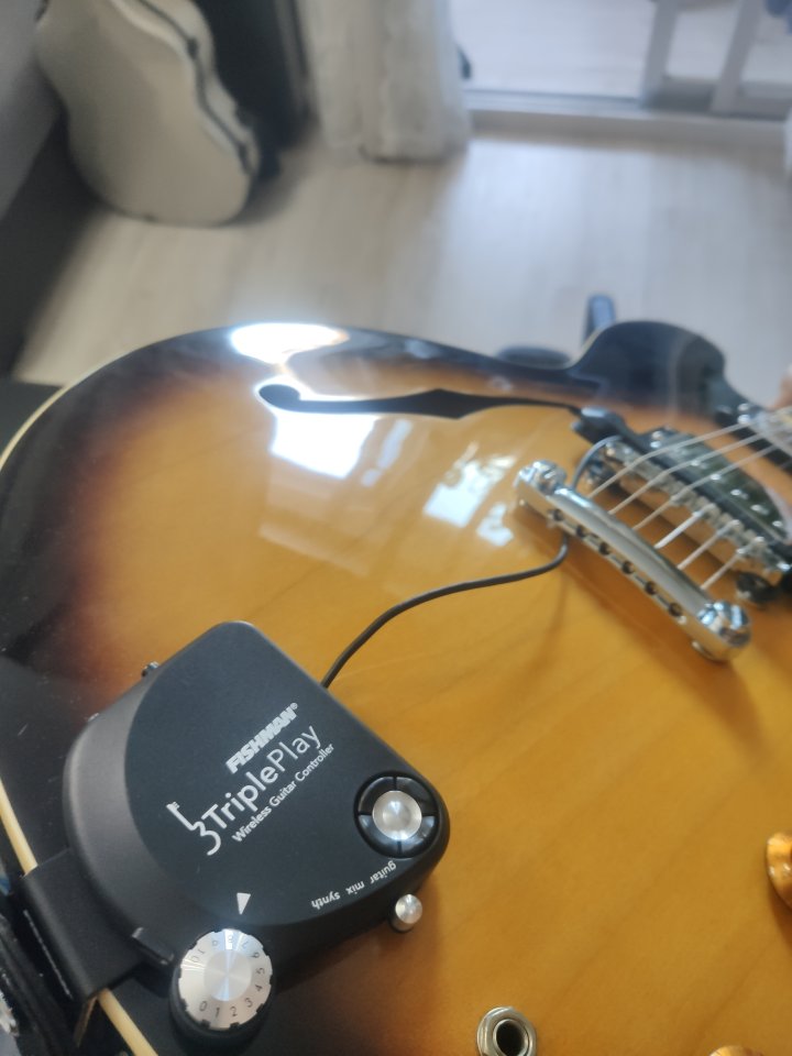 Guitarra Vintage VSA535 + Fishman Tripleplay [Urge Venta]