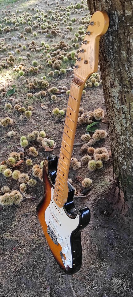 Navigator NST-300M strat de segunda mano · Foto 6 de 10 · A Coruña · 2500 €