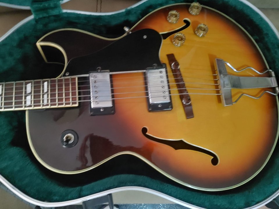 Guitarra Morris de Coleccion..Muy Pocas Unidades en el Mundo.Con Estuche