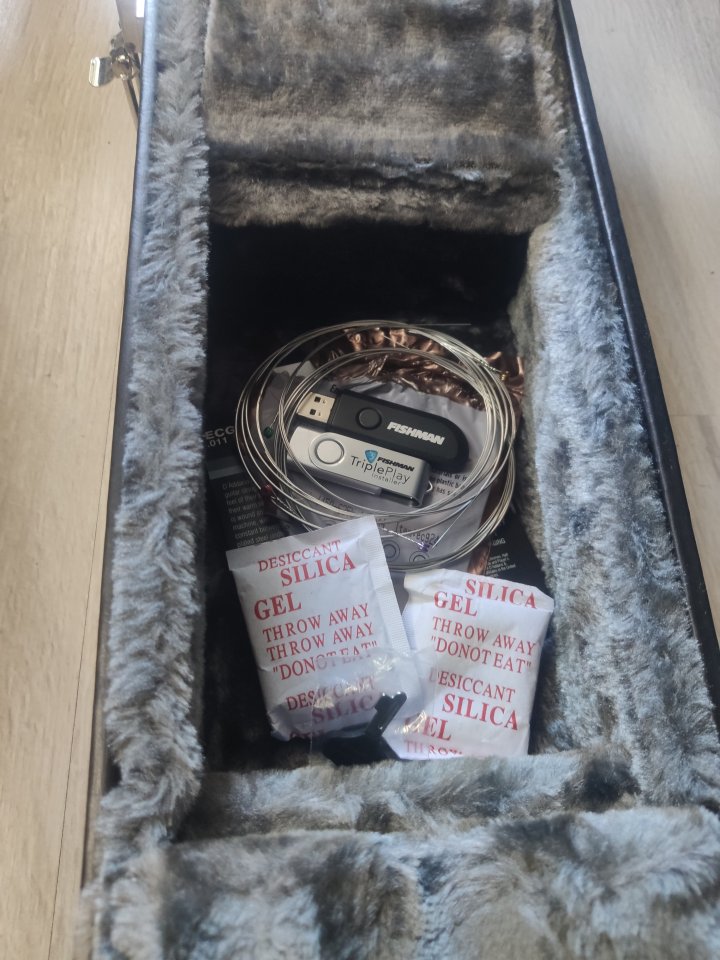 Guitarra Vintage VSA535 + Fishman Tripleplay [Urge Venta]