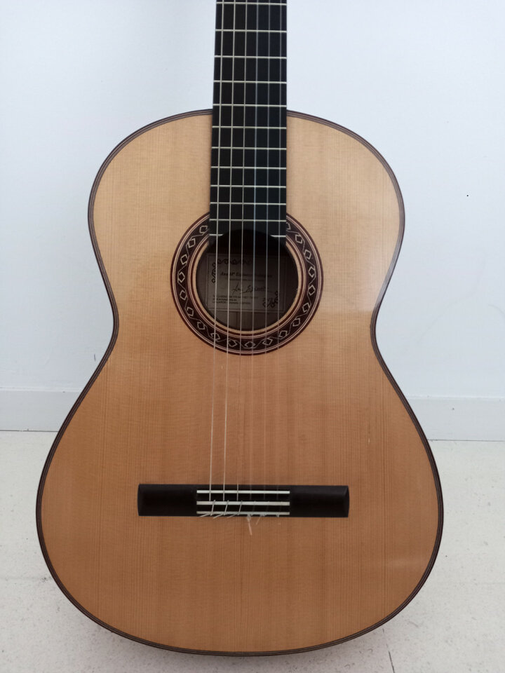 Flamenca - Ana Espinosa - rebajada