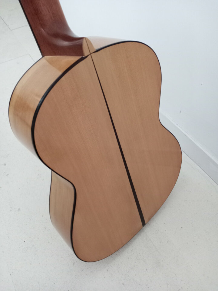 Flamenca - Ana Espinosa - rebajada