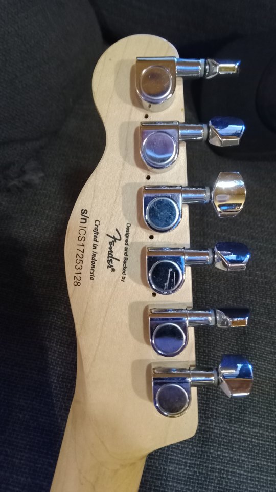 Squier telecaster standard