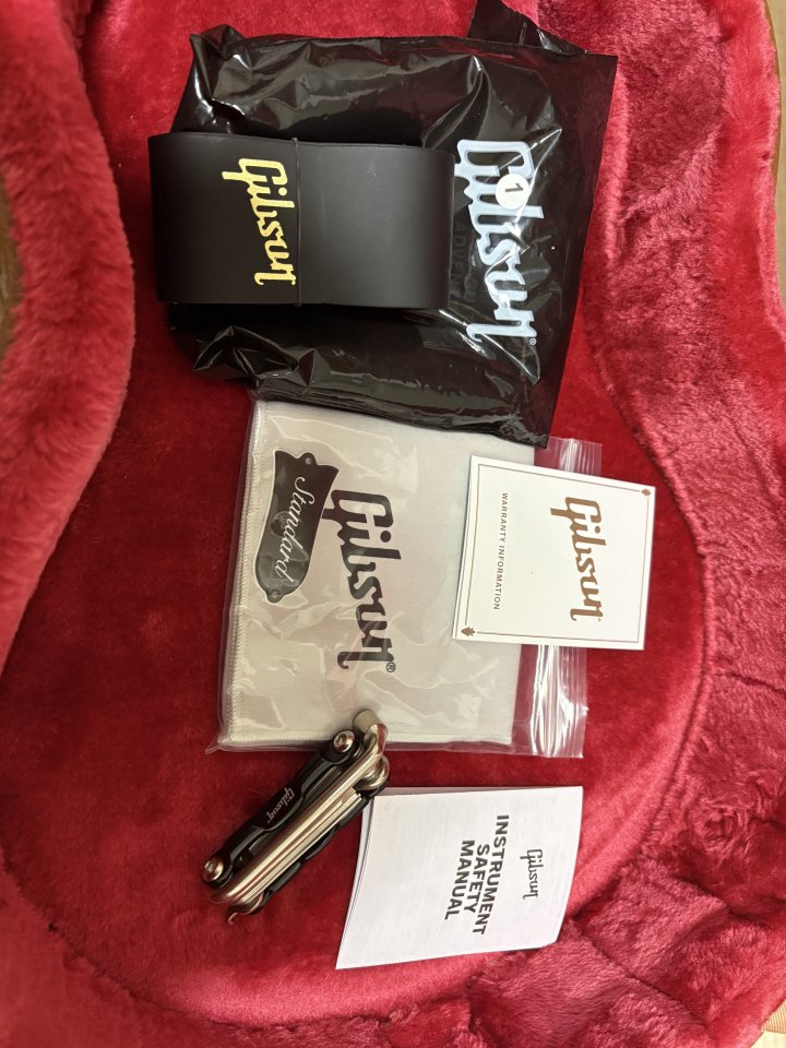 Gibson les paul standard 50s AAA nueva