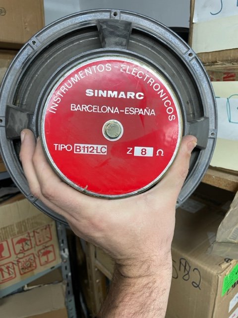 Conos de altavoz usados 12", 15", 18". JBL, Gauss, RCF, Sinmarc, Beyma...