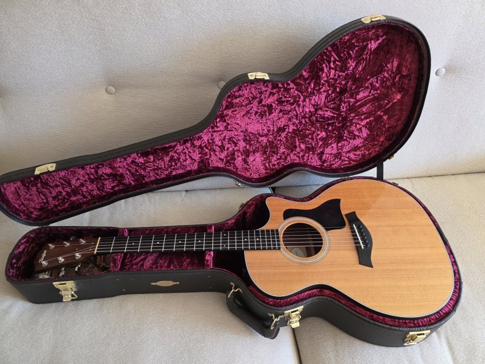 Guitarra acústica Taylor 314ce Grand Auditorium de segunda mano · Foto 1 de 7 · La Rioja · 1450 €