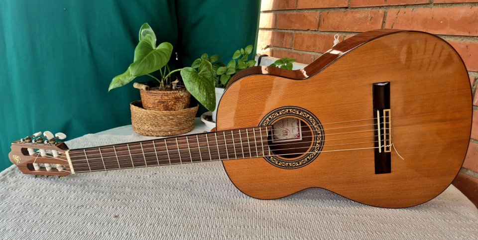 Prudencio Saez 58 Guitarra española. Descatalogada Impecable de segunda mano · Foto 3 de 10 · Barcelona · 480 €