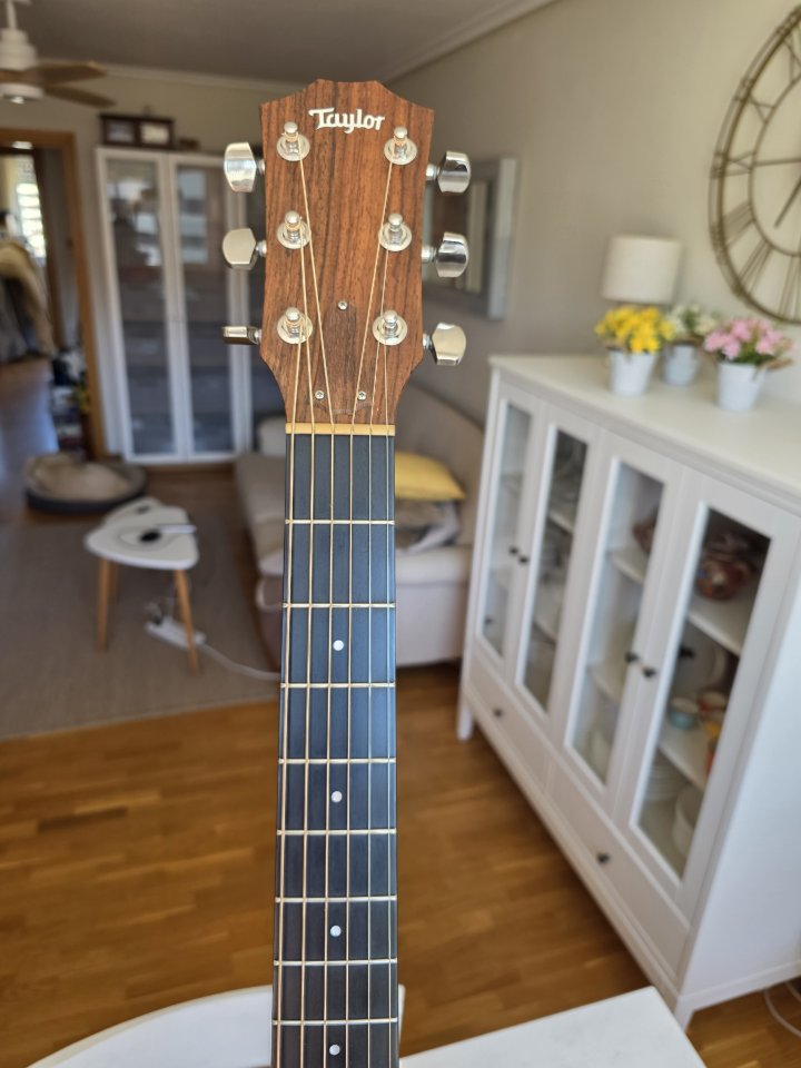 Guitarra acústica Taylor 314ce Grand Auditorium de segunda mano · Foto 4 de 7 · La Rioja · 1450 €
