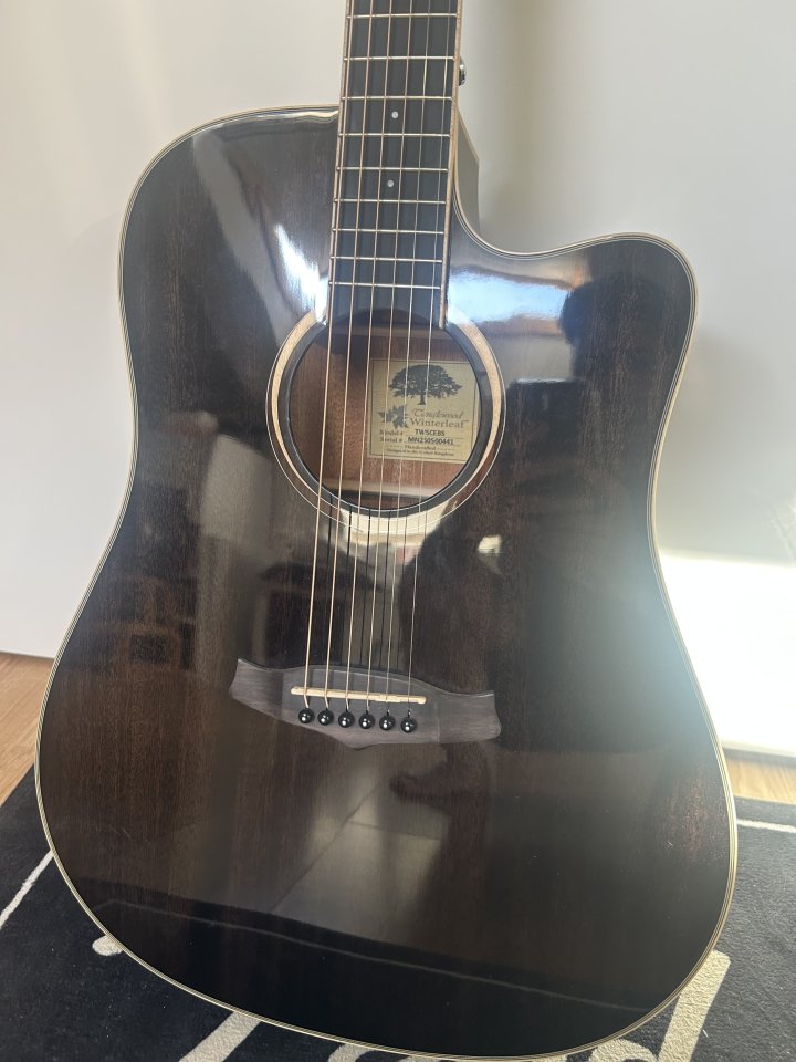 Tanglewood TW5E (((NUEVA A ETRENAR))) de segunda mano · Foto 3 de 9 · Valencia · 199 €