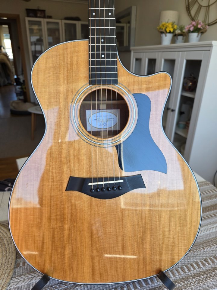 Guitarra acústica Taylor 314ce Grand Auditorium de segunda mano · Foto 5 de 7 · La Rioja · 1450 €