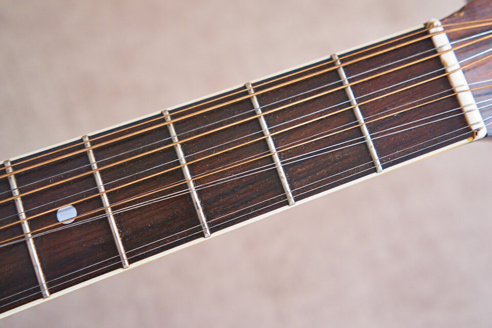 Suzuki 12 cuerdas