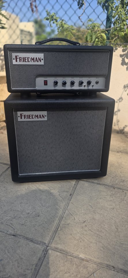 Friedman little sister cabezal y pantalla a juego de segunda mano · Foto 2 de 10 · Alicante · 1500 €