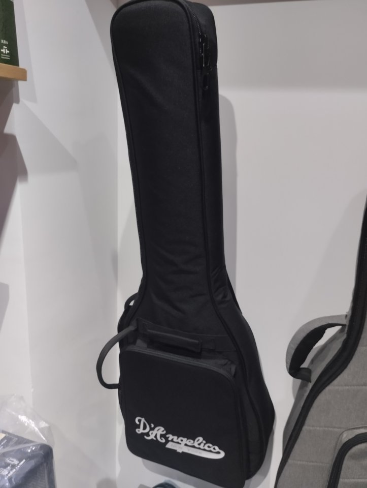 D'Angelico Mini DC con B&B pickups