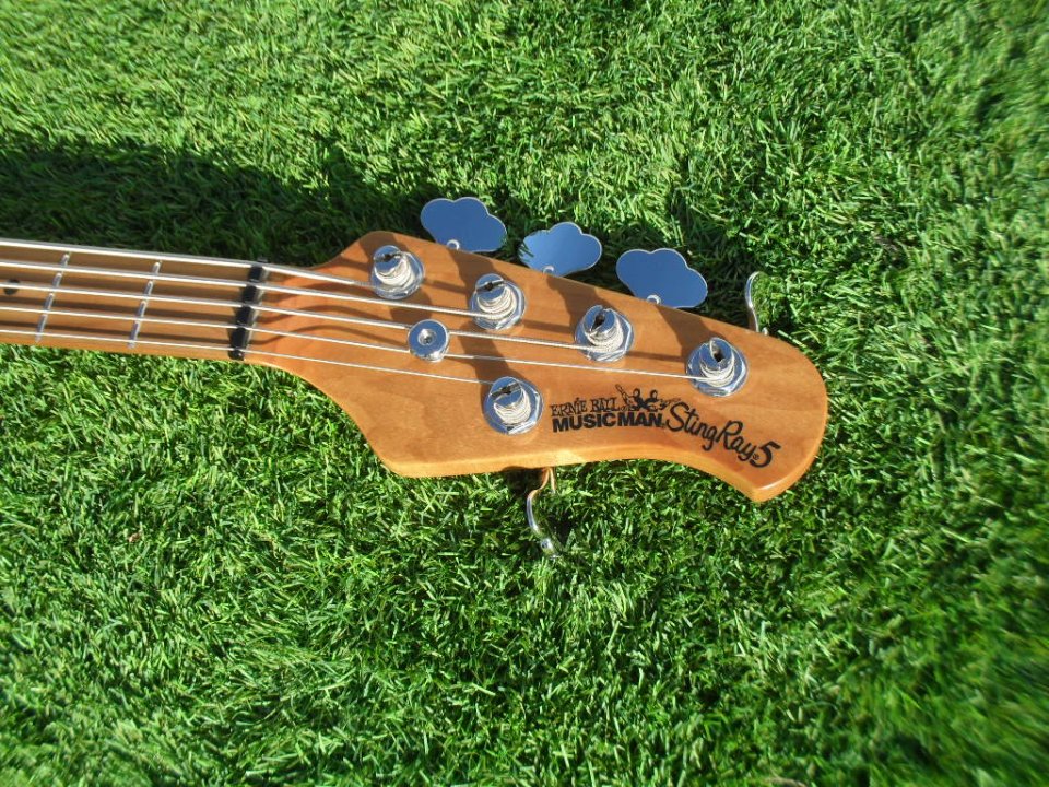 Music Man Stingray Special 5 HH