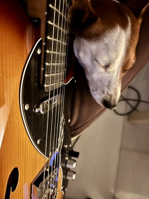 Fender Telecaster thinline "Suona" de segunda mano · Foto 9 de 9 · Málaga · 2500 €