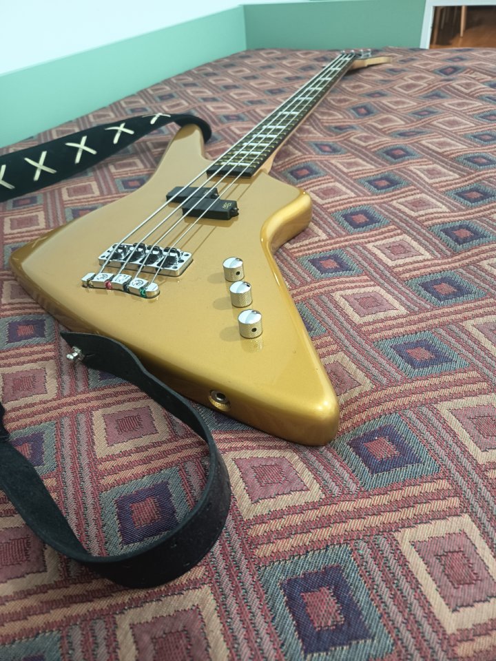 Warwick Adam Clayton Reverso