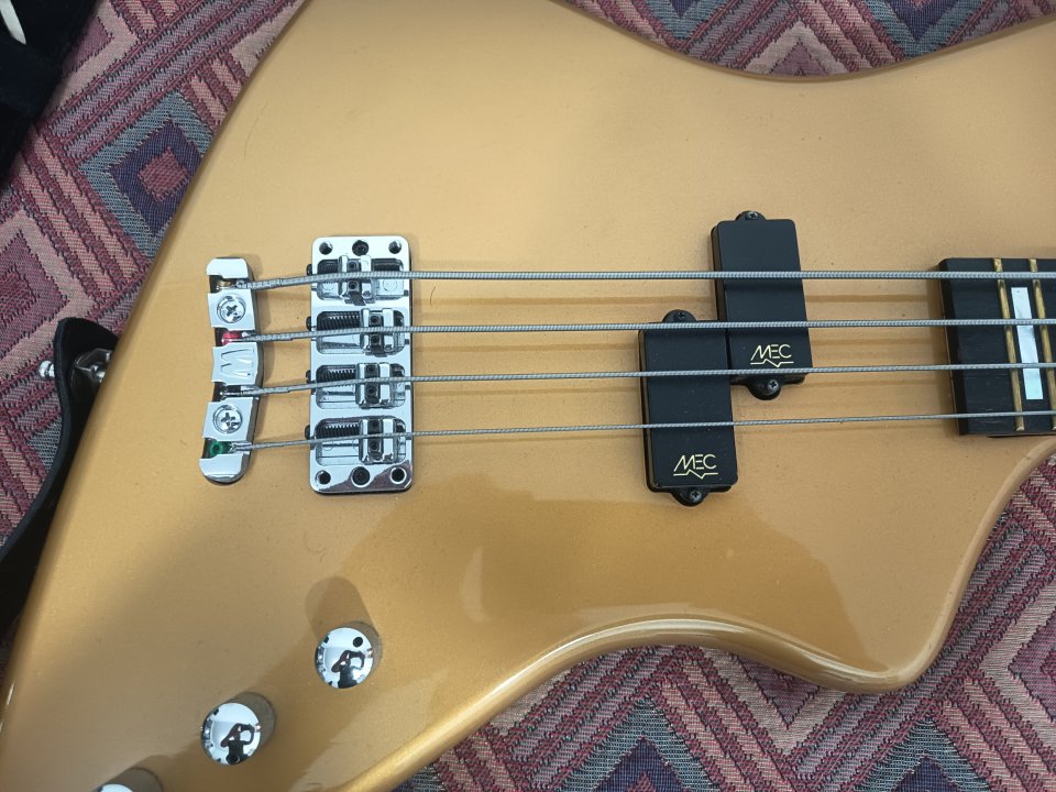 Warwick Adam Clayton Reverso