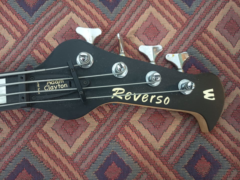Warwick Adam Clayton Reverso