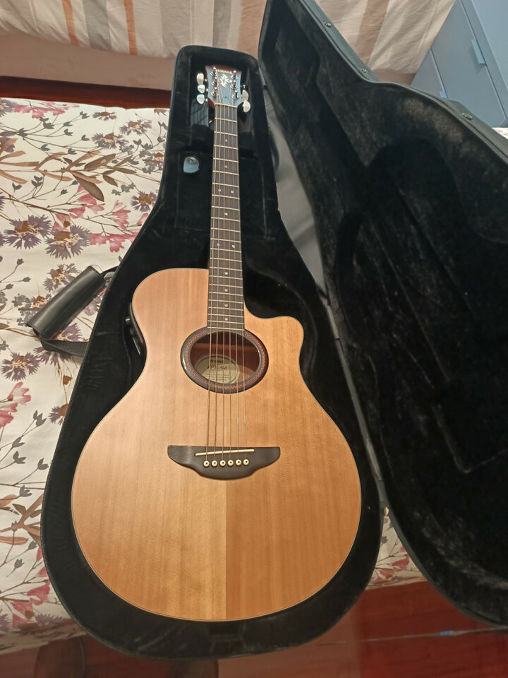 Yamaha APX 3M