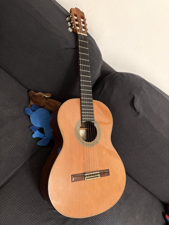 Alhambra 10P (Gama Profesional/Concierto) + K&K Pure Mini instalado