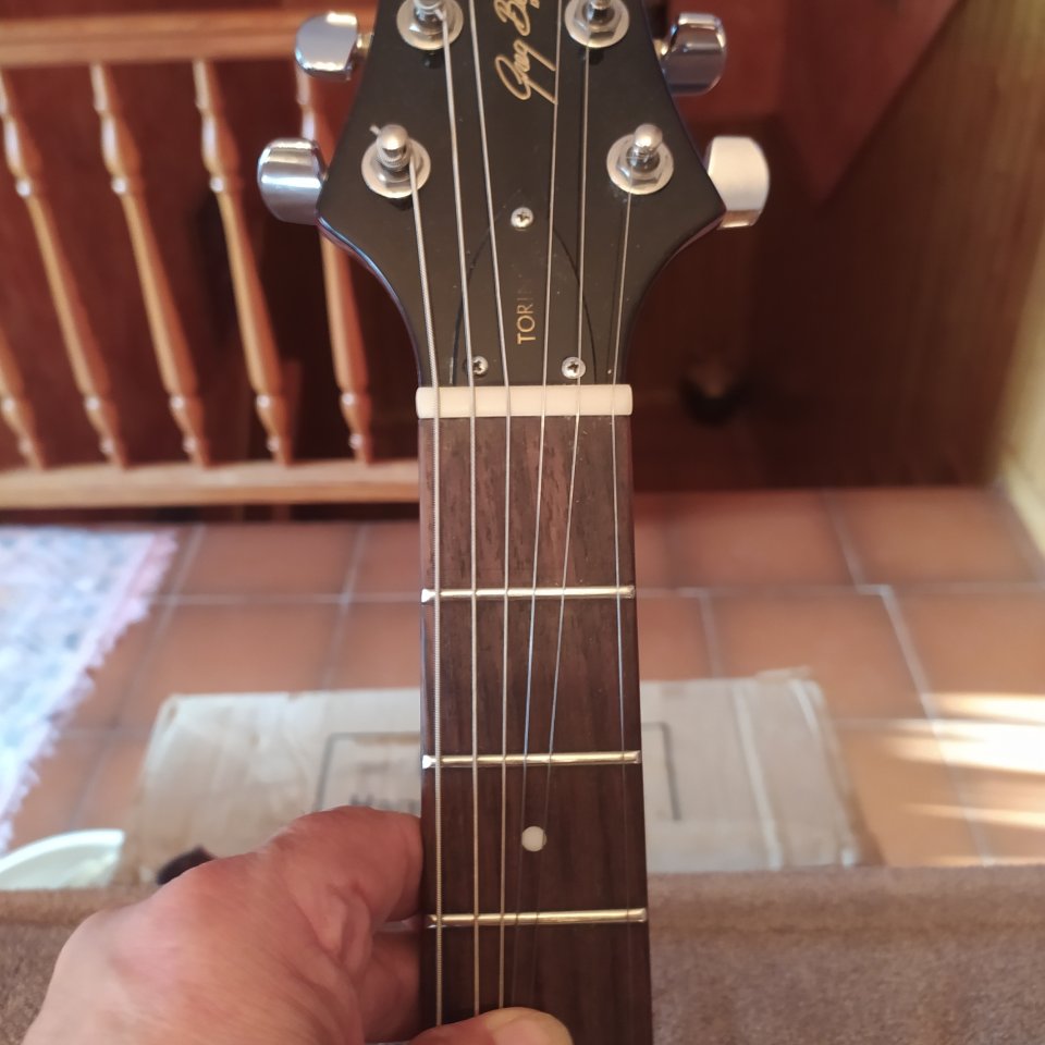 Greg Bennett Torino TR-1 de segunda mano · Foto 4 de 10 · Teruel · 250 €