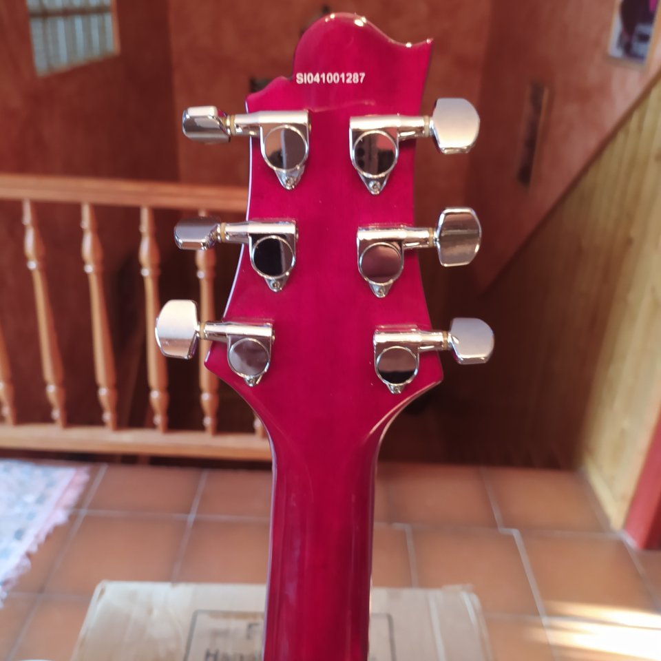 Greg Bennett Torino TR-1 de segunda mano · Foto 5 de 10 · Teruel · 250 €