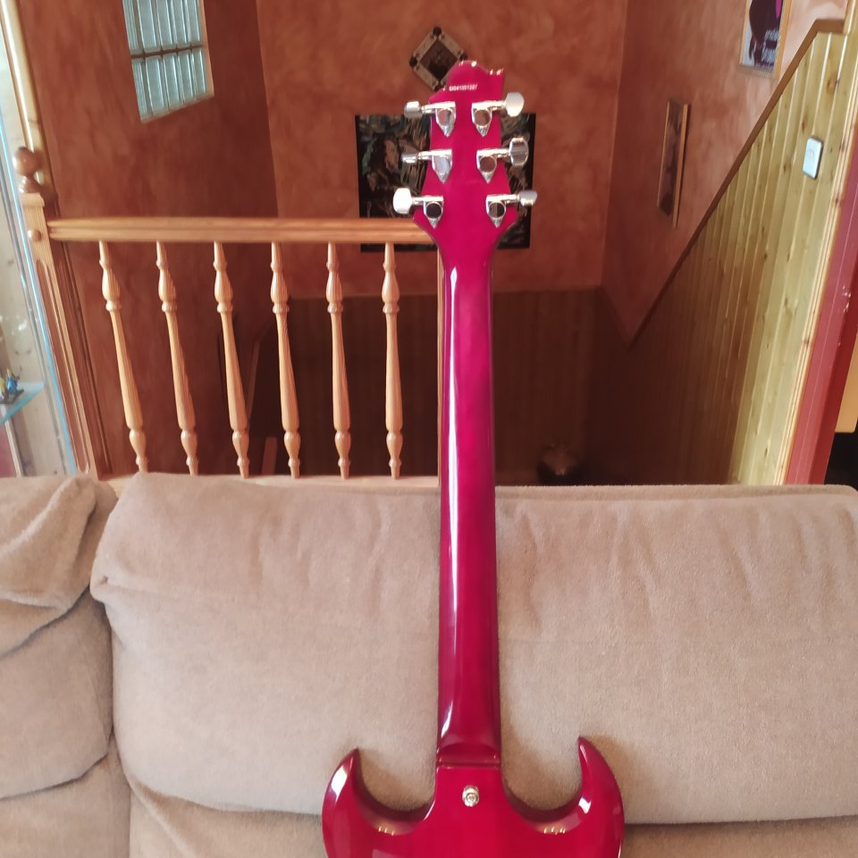 Greg Bennett Torino TR-1 de segunda mano · Foto 8 de 10 · Teruel · 250 €