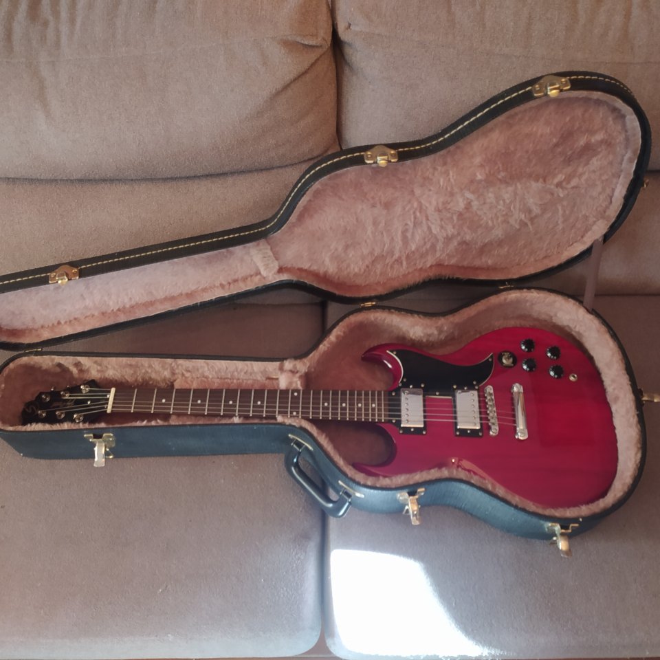 Greg Bennett Torino TR-1 de segunda mano · Foto 9 de 10 · Teruel · 250 €