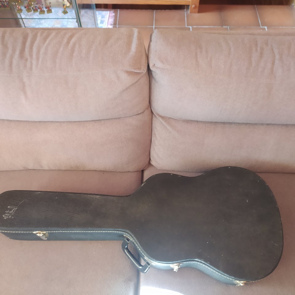 Greg Bennett Torino TR-1 de segunda mano · Foto 10 de 10 · Teruel · 250 €