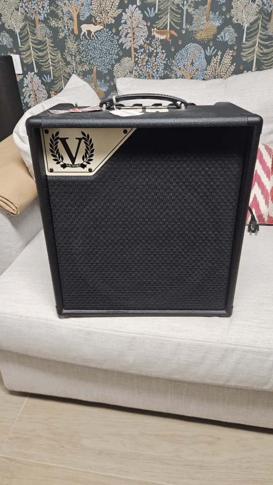 Victory The Viscount V40 combo