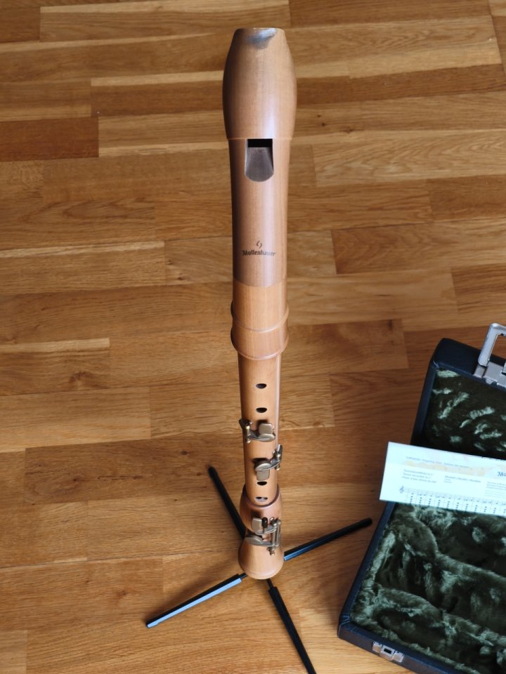 Flauta de pico Mollenhauer 2446KC Canta Comfort Tenor de segunda mano · Foto 3 de 5 · Barcelona · 925 €
