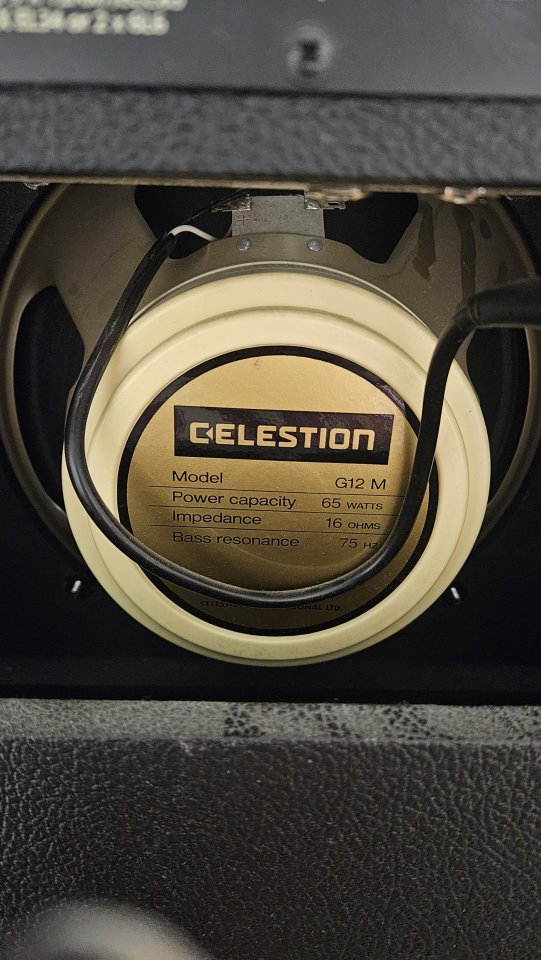 Victory The Viscount V40 combo