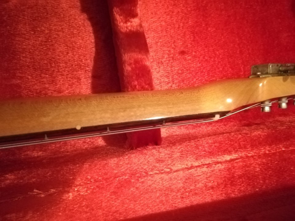 Vinetto Telecaster Thinline Artifact SC Vintage Hollow. Super precio.