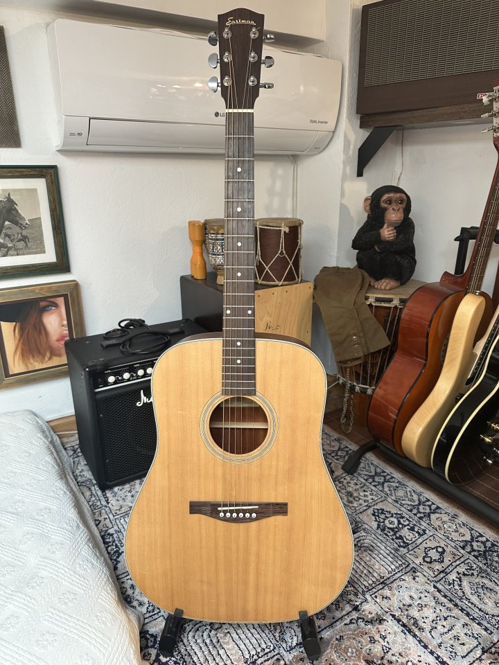 Guitarra Acústica EASTMAN AC-120 NUEVA de segunda mano · Foto 1 de 6 · Madrid · 450 €