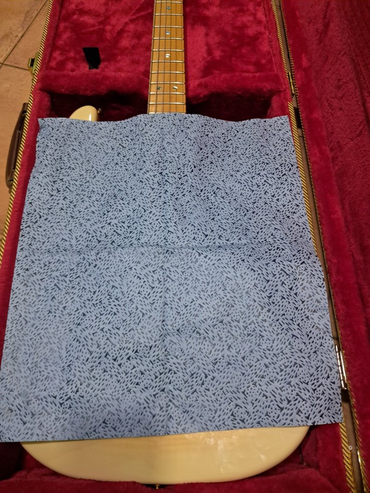 Guitarra Fender Stratocaster Rltchie Kotzen Japon 2023 de segunda mano · Foto 3 de 10 · Cádiz · 1850 €