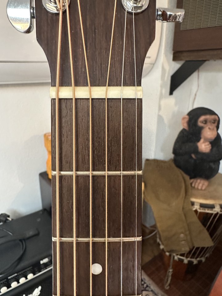 Guitarra Acústica EASTMAN AC-120 NUEVA de segunda mano · Foto 5 de 6 · Madrid · 450 €